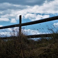 Fence against the sky